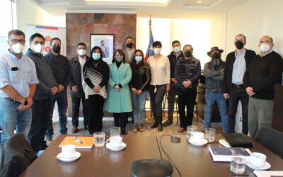 CTMIN en reunión con Ministra de Minería logra importante avance en establecer un espacio de participación permanente