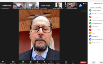 REUNIÓN VIRTUAL ENTRE SERNAGEOMIN Y CTMIN: HACIA UNA ACTUALIZACIÓN DEL DECRETO SUPREMO 132