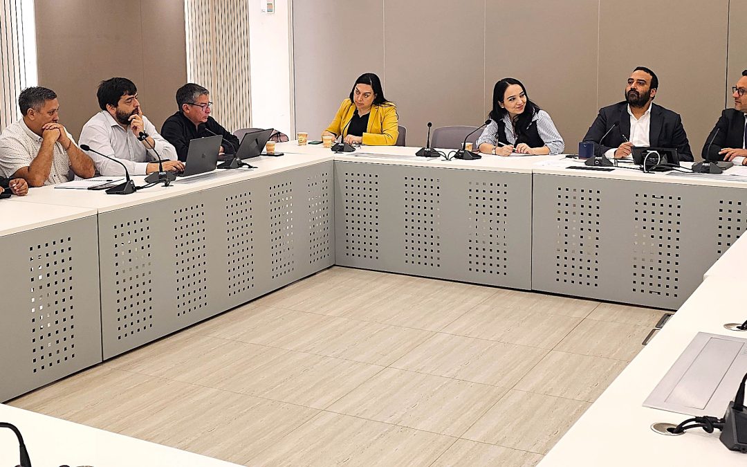 CSL CIERRA EL AÑO CON AVANCES EN SEGURIDAD, CONTINUIDAD DE LA MESA MINERA Y ESTÁNDARES PARA EL INGRESO A FAENAS